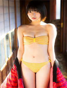 《宠物小精灵dp77》